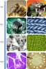 Profesionálny digitálny mikroskop 2000x 12MP HD 7" LCD Náhľad obrázku produktu 8