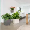 Ghiveci Lechuza Cubico Premium 50 (49 x 49 x 49,5 cm) Taupe Náhled obrázku produktu 5