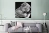 MuchoWow® Poster Koala - Schlafend - Schwarz - Kinder - Produktbild-Vorschau 5