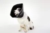 Comfy Cone Kraag Zwart Extra Extra Large / 36.5cm Productafbeelding-voorbeeld 7