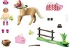 Ensemble de poneys allemands Voir les images du produit 4