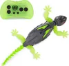 Hexbots Wall Crawler Gecko RC (Wandkriechender Gecko) Produktbild-Vorschau 33