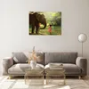 Bilder auf glas - Elefant Tier - 70x50cm - Glasbilder - Produktbild-Vorschau 7