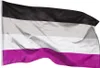 PHENO FLAGS Asexuelle Flagge Stolz LGBT 90x150cm Fahne Produktbild-Vorschau 1