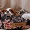 Autostoel voor hond DOGESTE – transportbox en hondenmand Productafbeelding-voorbeeld 9