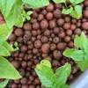 Keramzyt - 5l - 4-8mm - Ideal für Drena¿ - Natürlich und Produktbild-Vorschau 4