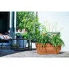 Blumenkasten Elho Vibia Campana Kunststoff 77 x 35 x 33,3 Produktbild-Vorschau 4