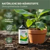 Green Home Love Nature  Bananendünger 1 l, Flüssigdünger Produktbild-Vorschau 4
