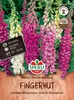 SPERLI Fingerhutsamen Mervita Digitalis purpurea 150 Produktbild-Vorschau 1