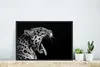 MuchoWow® MuchoWow® Gerahmtes Poster Jaguar - Tier - Produktbild-Vorschau 5