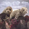 Folkmanis 2537, Handpuppe, Tier Produktbild-Vorschau 5