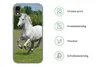 MuchoWow® Handyhülle Schutzhülle Hülle für iPhone XR Pferde Produktbild-Vorschau 7