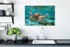 MuchoWow® - Leinwandbilder - Eine Schildkröte schwimmt Produktbild-Vorschau 3