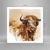 Poster - Poster ohne Rahmen - Stier Scotch Aquarell - 60x60 Produktbild-Vorschau 4