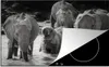 KitchenYeah© Herdabdeckplatte Elefant - Tiere - Wasser - Produktbild-Vorschau 1