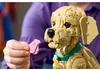 LEGO Icons Cucciolo Di Golden Retriever 11384 Voir les images du produit 23