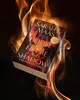 House of Flame and Shadow Anteprima dell’immagine prodotto 3