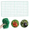 Filet de jardin pour plantes à mailles larges Culture de Voir les images du produit 1