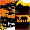 Bilder auf glas - Tiere Safari Savanne Giraffe - 30x30cm - Produktbild-Vorschau 8