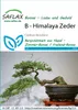 Artikelbild 1 von 'Himalaya Zeder' aus der Kategorie Bonsaisamen Náhľad obrázku produktu