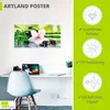ARTland Poster Spa Steine Bambus Zweige Orchidee Größe: Produktbild-Vorschau 3