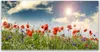 Tulup Leinwand-Bilder 120x60 Wandbild Canvas Kunstdruck Produktbild-Vorschau 1