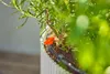 Gardena Micro-Drip-System Set Balkon (15 Pflanzen) Produktbild-Vorschau 17