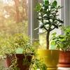 Relaxdays hliněné kuličky na zalévání, sada 4 ks, objem 100 Náhled obrázku produktu 2
