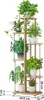 A multi-tiered wooden plant stand with various potted plants on each level, with dimensions indicated by measurement lines and text. Náhľad obrázku produktu