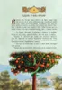 Biblija dlja detej. 365 istorij na kazhdyj den' Voir les images du produit 13