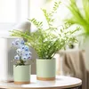 5 Packs Blumentopf mit Untersetzer, Produktbild-Vorschau 2