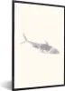 MuchoWow® MuchoWow® Gerahmtes Poster Fische - Meerestiere - Produktbild-Vorschau 1