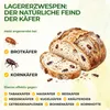 GREEN GUARDIA Lagererzwespen gegen Brotkäfer - 1 Röhrchen à Produktbild-Vorschau 2