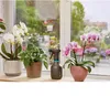 Gardena Tlakový Postřikovač 075 L 11110-20 Náhled obrázku produktu 30