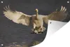 MuchoWow® Produktbild-Vorschau 1