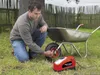 Black & Decker ASI300, 11 bar Náhled obrázku produktu 10