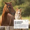 A horse and a dog are in a natural outdoor setting, with a text overlay providing product information. Produktbild-Vorschau