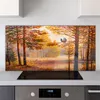 Coloray Küchenrückwand 140x70 Spritzschutz aus Glas - Wald Produktbild-Vorschau 2