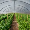 Izolační fólie TWOLIIN Izolační fólie 1 x 30 m bublinková Náhled obrázku produktu 8