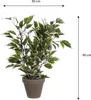 Kunstpflanze Ficus im Topf grün/mehrfarbig 40cm Produktbild-Vorschau 2