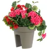 A planter box filled with red and pink flowers, set against a white background. Produktbild-Vorschau
