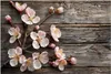 Küchenrückwand Spritzschutz Glas mit Motiv Kirschblüten Produktbild-Vorschau 3