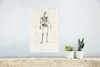 MuchoWow® Poster Skelett - Jahrgang - Knochen 20x30 cm - Produktbild-Vorschau 4