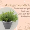4er Set Blumentopf Wand Blumentopf Wandmontage Produktbild-Vorschau 5