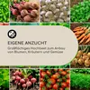 A collage of various vegetables and herbs, with a central text overlay promoting 'EIGENE ANZUCHT' (own cultivation) and a raised garden bed. Produktbild-Vorschau