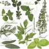 20 Servietten Herbal Taste - Verschiedene Kräuter 33x33cm Produktbild-Vorschau 1
