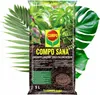 Terre pour Plantes Vertes - Monstera 5L - Écologique - Voir les images du produit 10