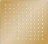 vidaXL Dešťová sprcha z nerezové oceli 20x20 cm čtvercová Náhled obrázku produktu 1