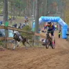 Non-stop dogwear Fahrrad-Führhalter KlickFix Antenna Produktbild-Vorschau 8