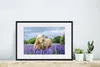MuchoWow® MuchoWow® Gerahmtes Poster Pferd - Blumen - Lila Produktbild-Vorschau 4